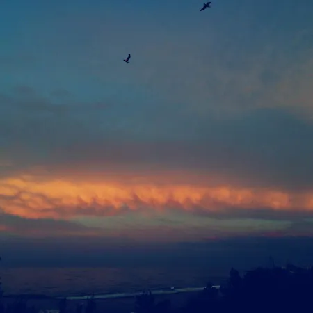Eva Sea View Daire *